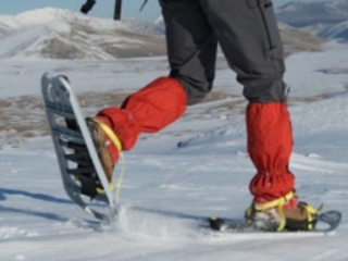  Snowshoes 